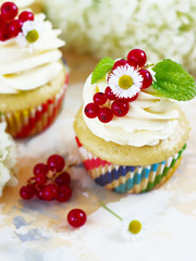 Gentle cupcake with cream and berries on a light background