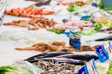 Fototapeta premium stand du poissonnier