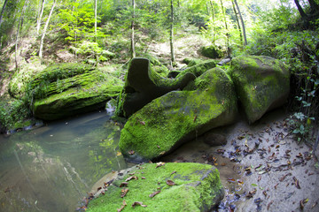 Malowniczy górski strumień w leśnej scenerii  jesienią © JDziedzic