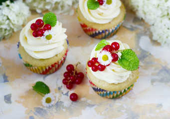 Gentle cupcake with cream and berries on a light background