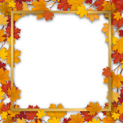 Autumn maple tree branch border. Golden frame in foliage. Vector, isolated on a white background.