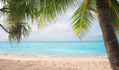 Plakat Sea beach at tropical resort