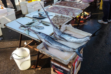 Swordfish for sale - Taranto, Italy
