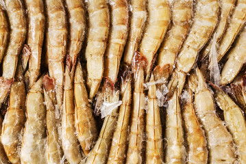 frozen shrimps