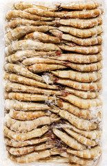 frozen shrimps
