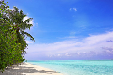 Fototapeta premium Piękna morska plaża w tropikalnym kurorcie