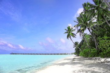 Fototapeta na wymiar Beautiful sea beach at tropical resort