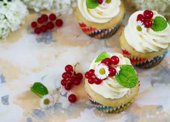 Gentle cupcake with cream and berries on a light background