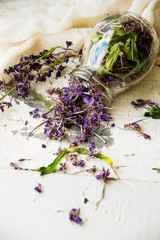 Traditional russian green herbal tea from Fireweed leaves: Koporye Tea, Russian Tea or Ivan Chai.