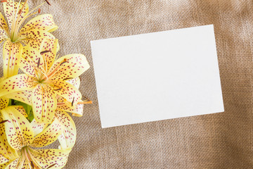 White blank greeting card with yellow lily flowers. Empty place for a text.