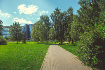 Park in the city center in sunny clear summer weather