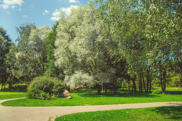 Park in the city center in sunny clear summer weather