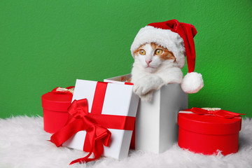 Gift box with cute cat in Santa Claus hat on color wall background