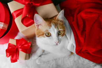 Cute cat in Santa Claus hat and gift boxes on furry carpet