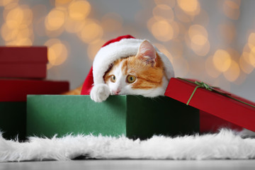 Gift box with cute cat in Santa Claus hat against blurred Christmas lights