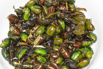 Cockchafer green was made food on white background