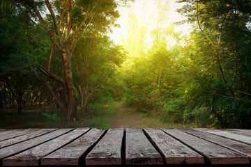 Wooden planks with forests with small pathway for background.