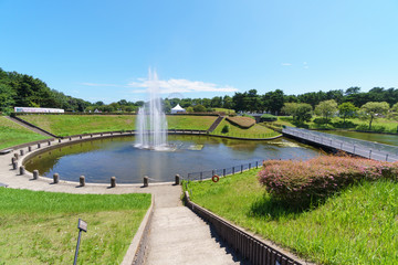国営ひたち海浜公園