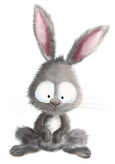 cute bunny rabbit illustration