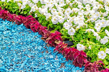 colorful flowerbed and lawns in a city part with vivid colors