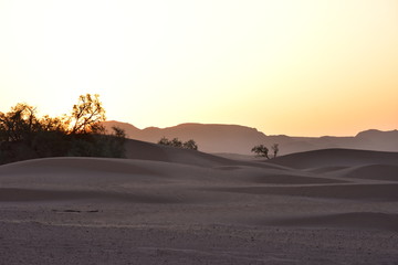 Fototapeta na wymiar DUNES D'ERG CHEGAGA, SAHARA MAROCAIN