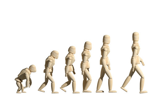 Wooden mannequin prototype of human evolution