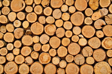 Background of tree stumps, natural wood background