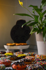 Fresh baked american donuts