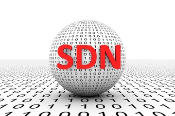 SDN conceptual sphere binary code 3d illustration