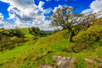Obraz premium Frontier of the Roman empire - Hadrian's wall in Northumberland, England