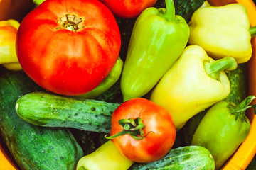 Vegetables in a basin on a grass