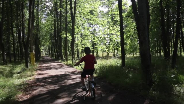 A six year old little boy, making his first steps to ride a four wheeled bicycle in the summer green forest park. Childhood and growth, the first difficult steps of people and learning concept.