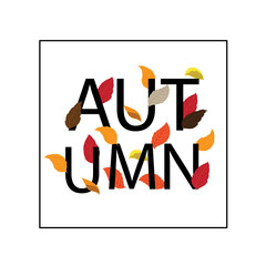 autumn and fall flower with text