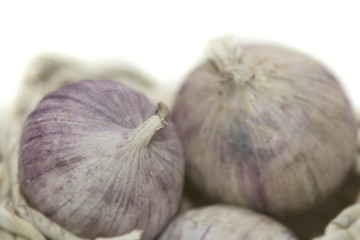 Knoblauchzehen Makro