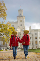 Two beautiful children, boy brothers, walking on a path in beautiful renaissance castle Hluboka