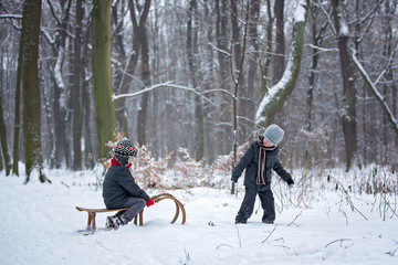 Happy children in a winter park, playing together with a sledge