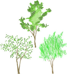 three green colored tree sketches on white