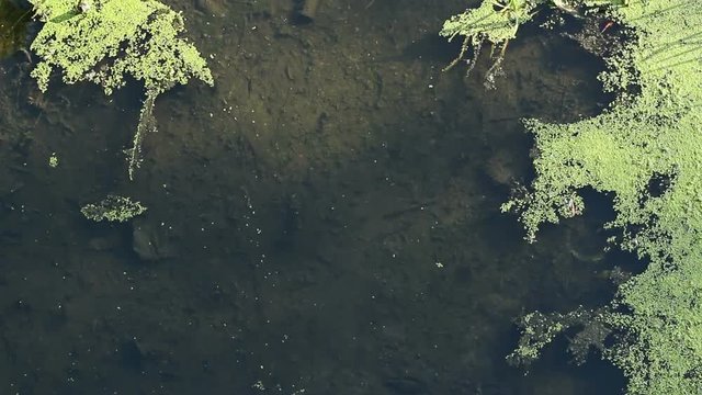 Polluted River Background