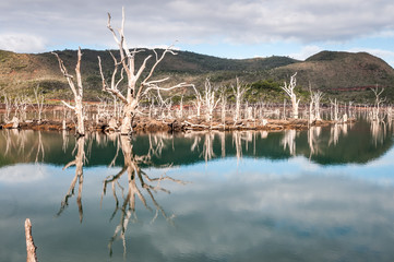 R&eacute;flexion sur le lac de Yat&eacute;