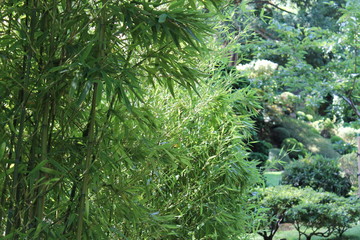 Jardin Albert Kahn - Paris