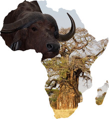 Map Of Africa photos, royalty-free images, graphics, vectors & videos ...