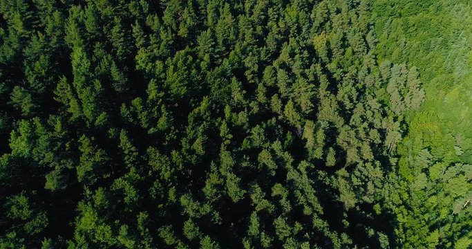 for&ecirc;t vu du ciel, a&eacute;rien