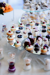 Pieces of tasty cakes served on layered dish