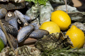 mussels, oysters in shells, seafood, lemons, meal