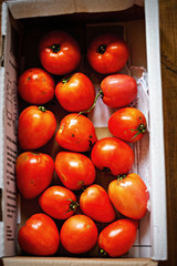 Box of fresh tomatoes from local farm