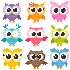 Set of colorful funny owls isolated on white