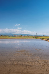 田園風景