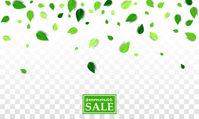 Flying green summer leaves foliage on white transparent background. Vector summer SALE concept. All isolated and layered