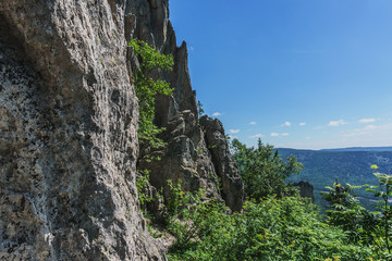 Beautiful nature hiking trails