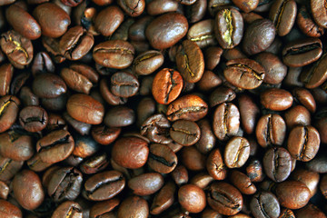 Coffee beans background